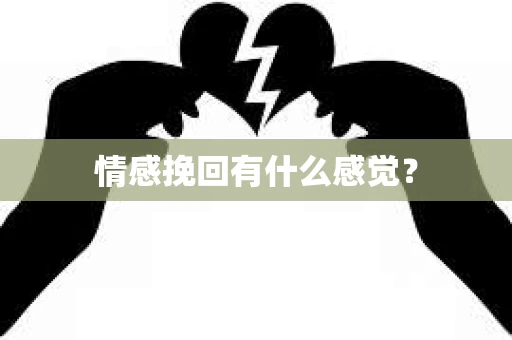 情感挽回有什么感觉? 情感挽回有什么感觉?