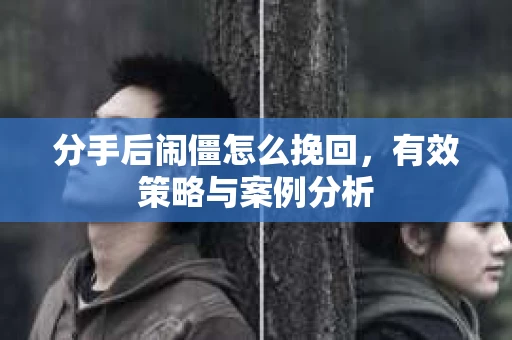 分手后闹僵怎么挽回，有效策略与案例分析