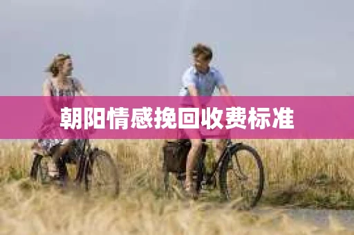 朝阳情感挽回收费标准