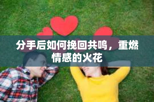 分手后如何挽回共鸣，重燃情感的火花