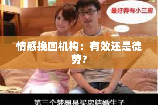 情感挽回机构：有效还是徒劳？