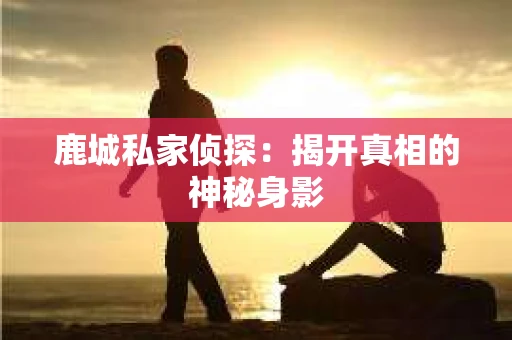 鹿城私家侦探：揭开真相的神秘身影