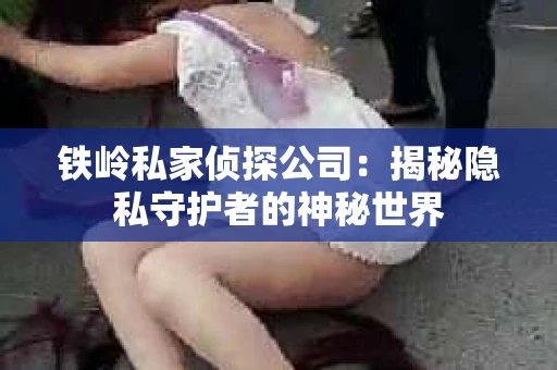 铁岭私家侦探公司：揭秘隐私守护者的神秘世界