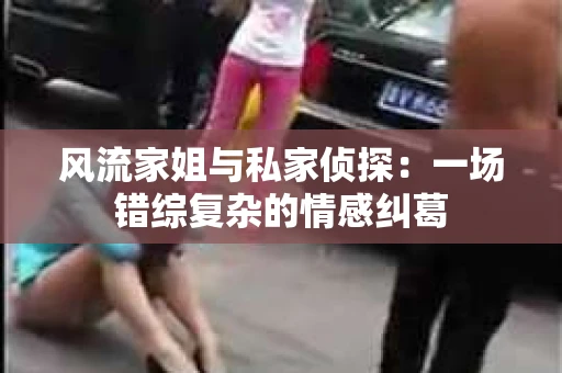 风流家姐与私家侦探：一场错综复杂的情感纠葛
