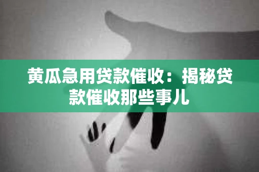 黄瓜急用贷款催收：揭秘贷款催收那些事儿