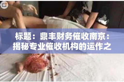 标题：鼎丰财务催收南京：揭秘专业催收机构的运作之道