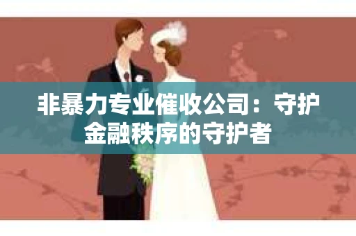 非暴力专业催收公司：守护金融秩序的守护者