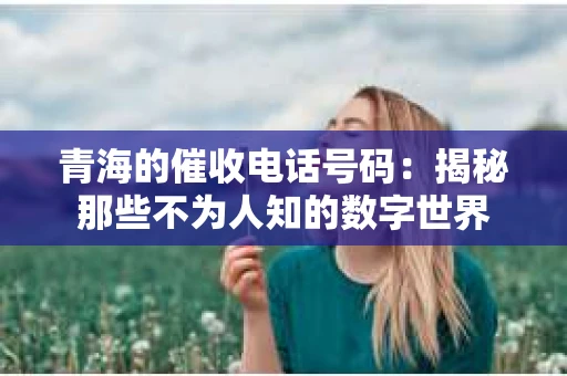 青海的催收电话号码：揭秘那些不为人知的数字世界