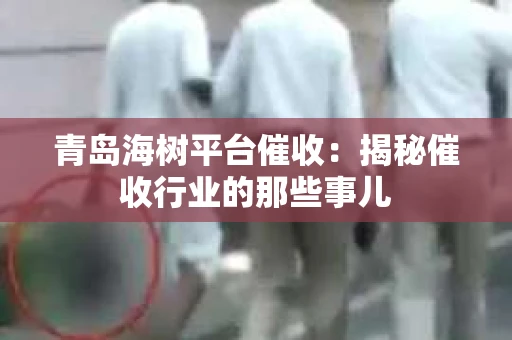 青岛海树平台催收：揭秘催收行业的那些事儿