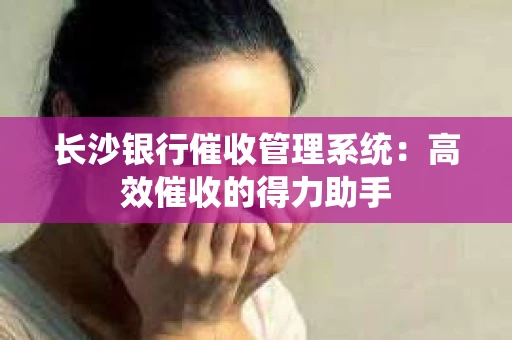 长沙银行催收管理系统：高效催收的得力助手