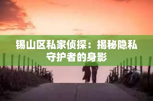 锡山区私家侦探：揭秘隐私守护者的身影
