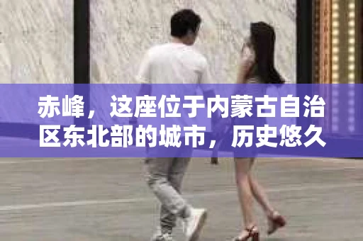 赤峰，这座位于内蒙古自治区东北部的城市，历史悠久，风景秀丽。随着社会的发展，人们的生活节奏加快，对于隐私保护和信息查询的需求也越来越大。那么，问题来了——赤峰有私家侦探吗？今天，我们就来聊聊这个话题。