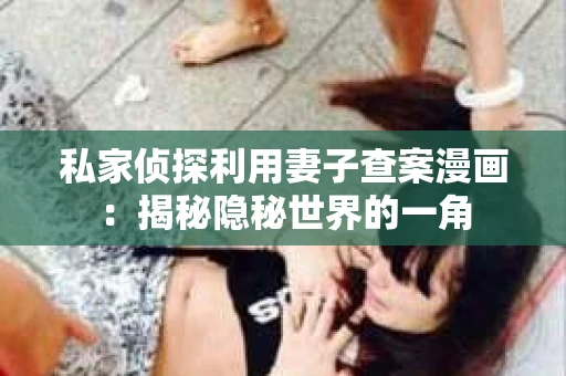 私家侦探利用妻子查案漫画：揭秘隐秘世界的一角