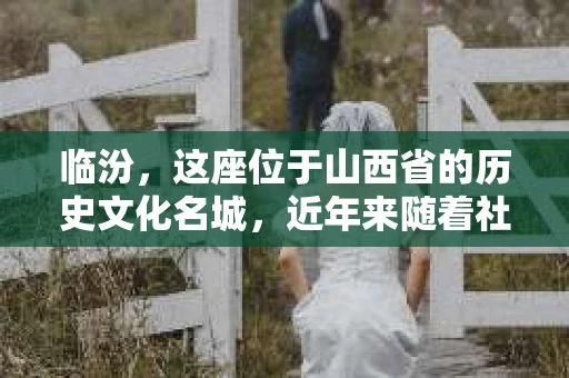 临汾，这座位于山西省的历史文化名城，近年来随着社会的发展，人们对于隐私保护和信息查询的需求日益增长。那么，问题来了——临汾有没有私家侦探查人？今天，我们就来聊聊这个话题。