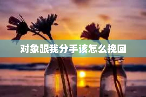 对象跟我分手该怎么挽回