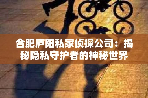 合肥庐阳私家侦探公司：揭秘隐私守护者的神秘世界