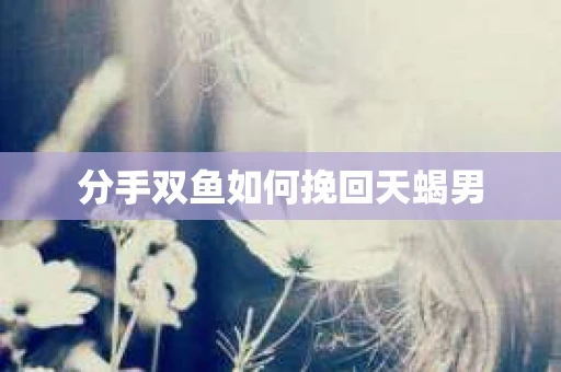 分手双鱼如何挽回天蝎男
