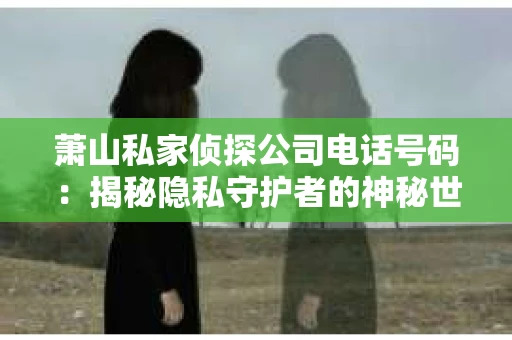 萧山私家侦探公司电话号码：揭秘隐私守护者的神秘世界