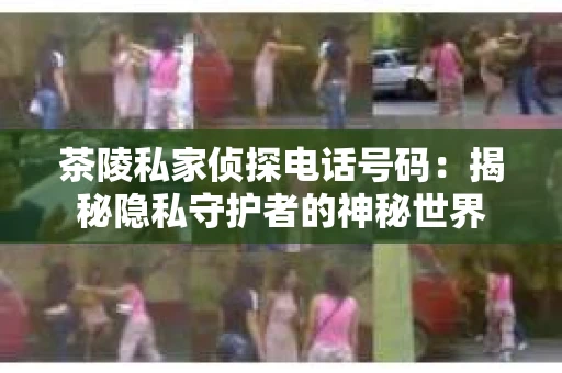 茶陵私家侦探电话号码：揭秘隐私守护者的神秘世界
