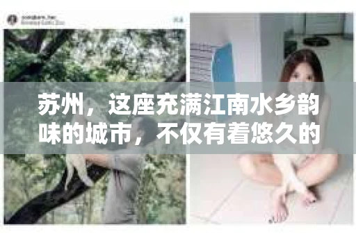 苏州，这座充满江南水乡韵味的城市，不仅有着悠久的历史和丰富的文化，还孕育了许多专业的私家侦探调查机构。今天，就让我带你走进苏州本地私家侦探调查机构的世界，一探究竟。