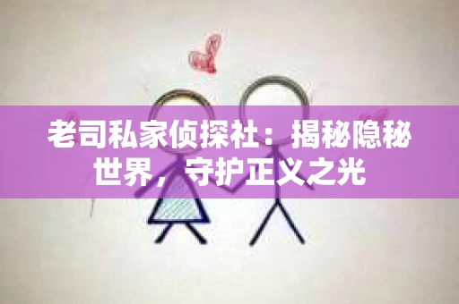 老司私家侦探社：揭秘隐秘世界，守护正义之光